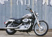 Harley-Davidson XL 883C Sportster 833 Custom